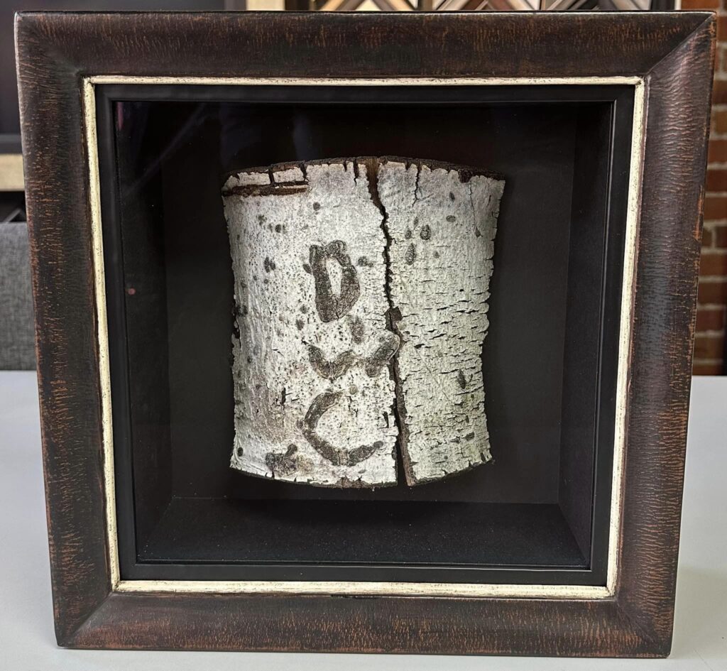 Custom Framed Tree Bark | House of Mercier & 5280 Custom Framing