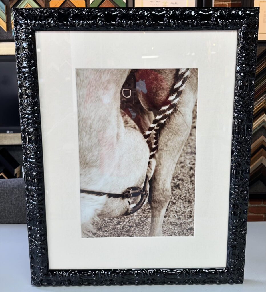 Photography Picture Framing Denver 