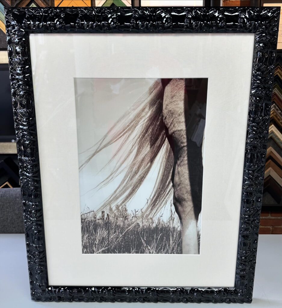 Custom Framed Western Photography 