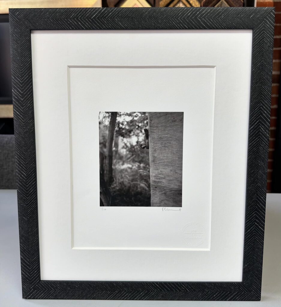 Photography Picture Framing Denver 