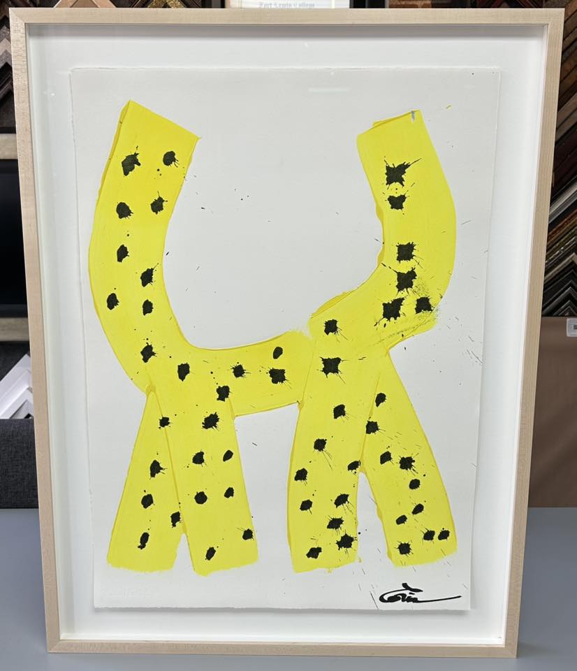 Custom Framed Original Art 