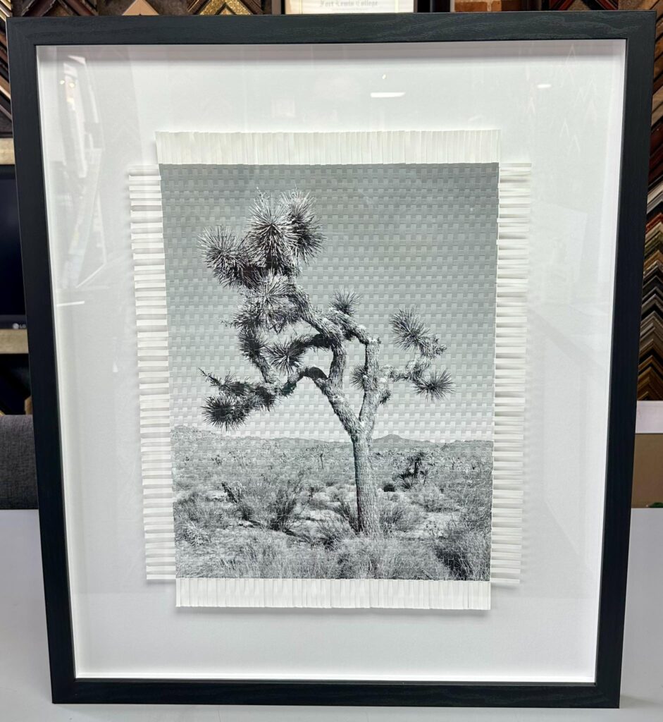 Marcelo & Fernando Bengoechea Woven Photography