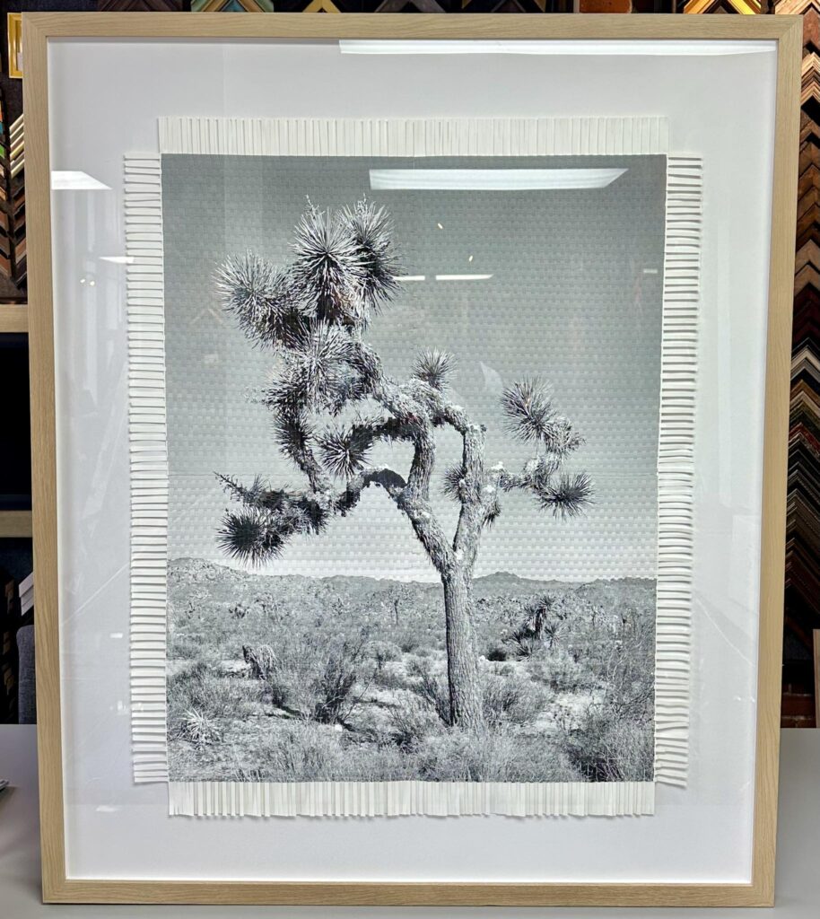 Fernando & Marcelo Bengoechea Woven Photos