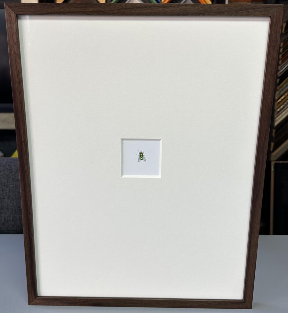 Custom Framed Fly Print 