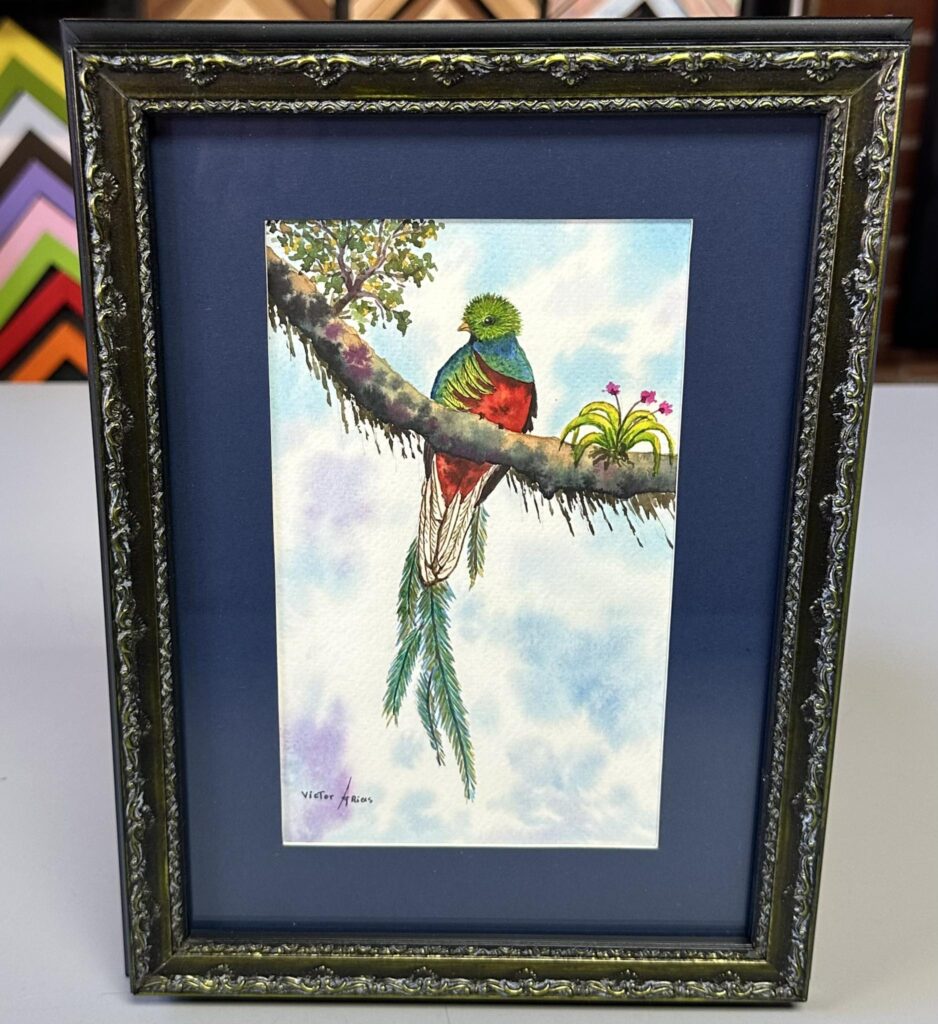 Custom Framed Watercolor Painting 