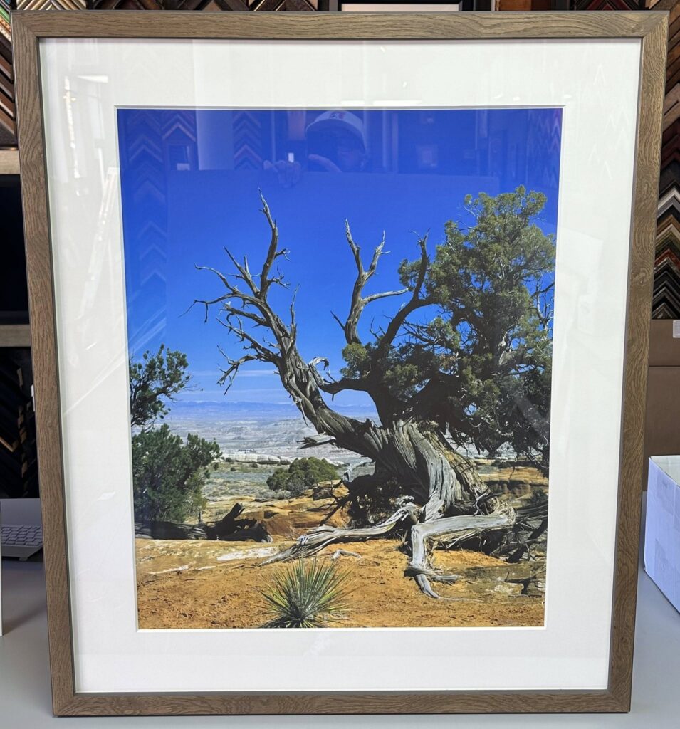 Custom Framed Colorado Photography