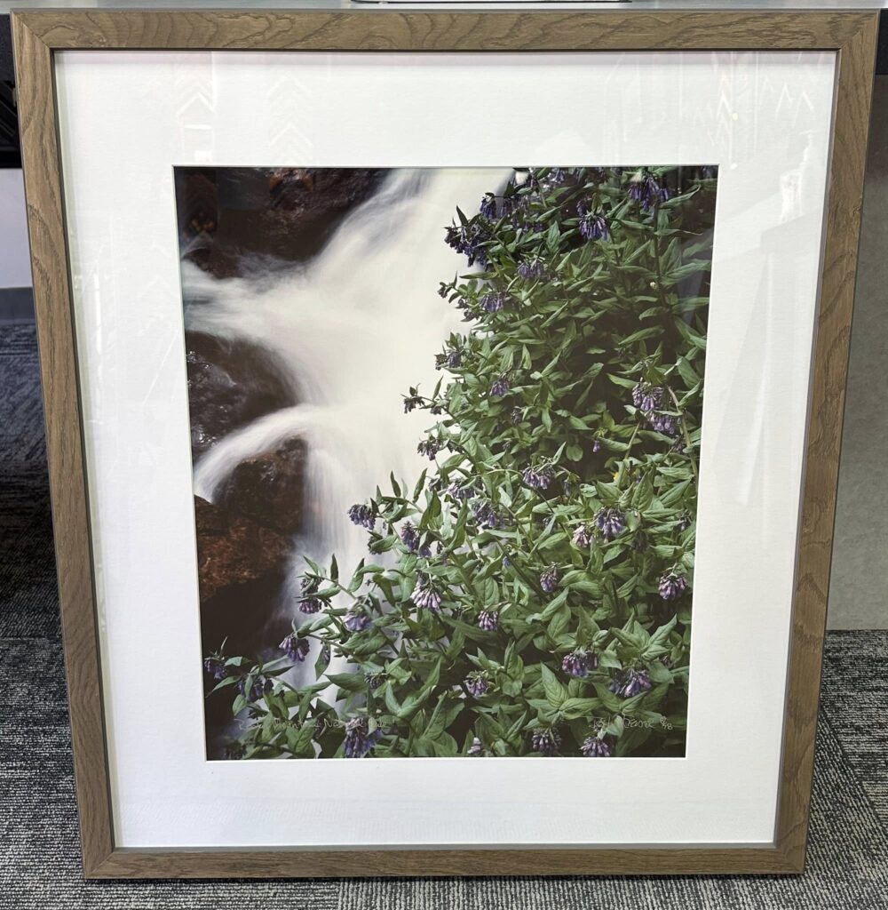 Custom Framed Colorado Photography 