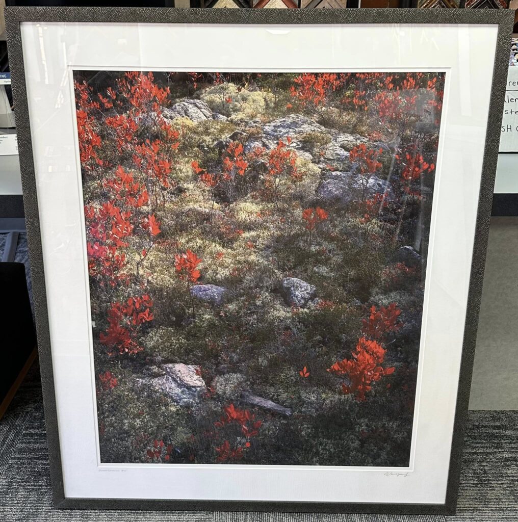 Custom Framed Photography Denver 