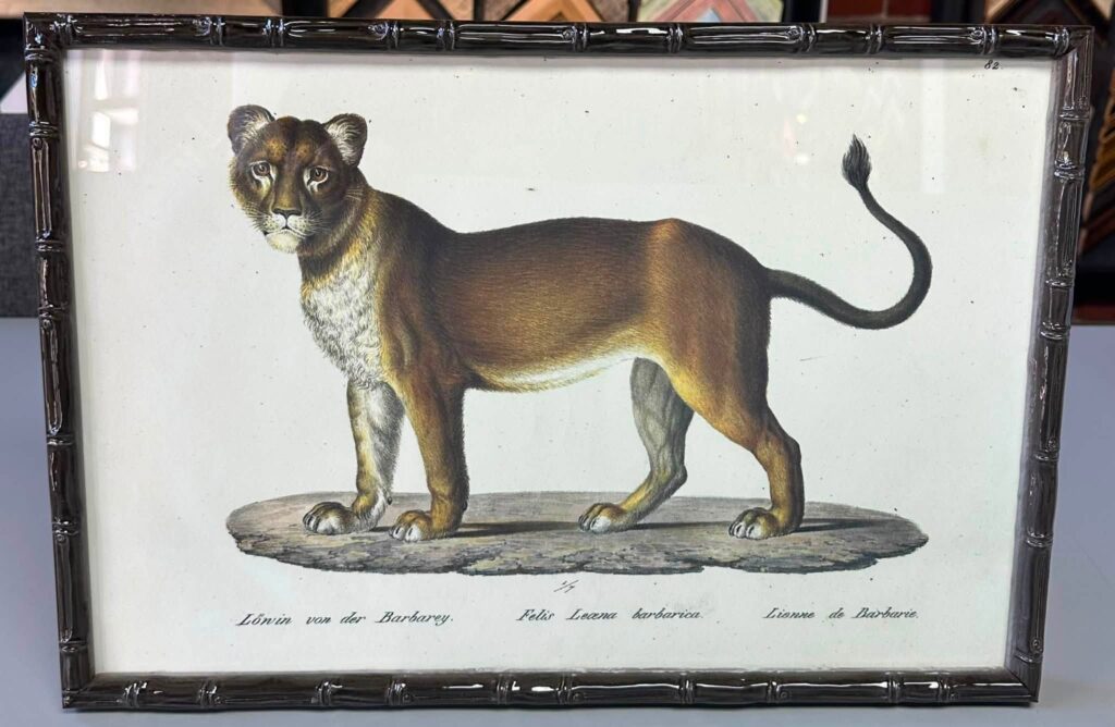 Custom Framed Lithographs by Karl Joseph Brodtmann