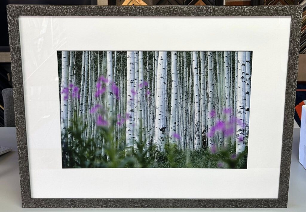 Custom Photography Framing Denver