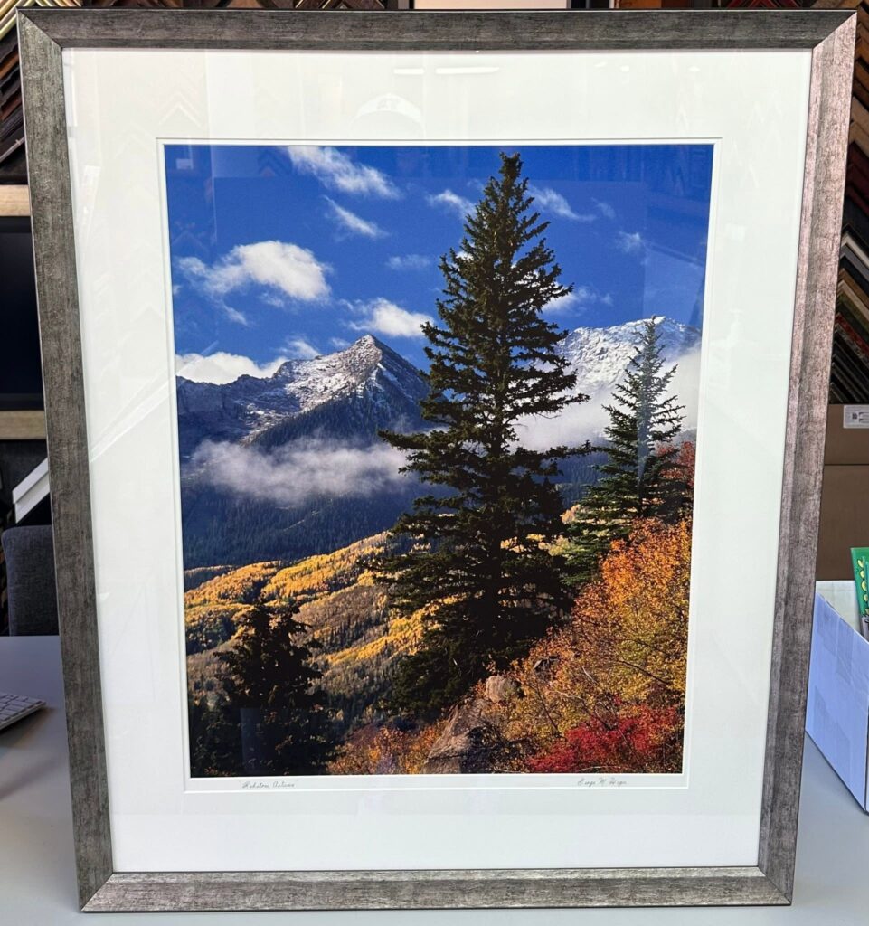 Custom Photography Framing Denver