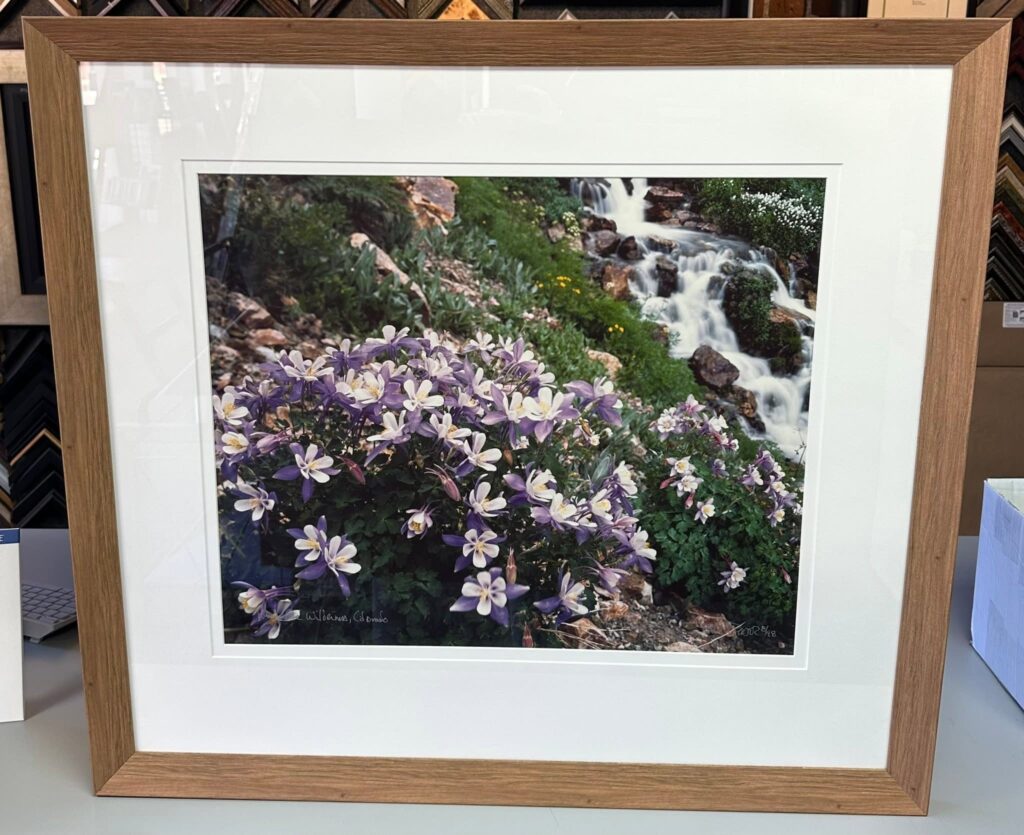 Custom Photography Framing Denver 