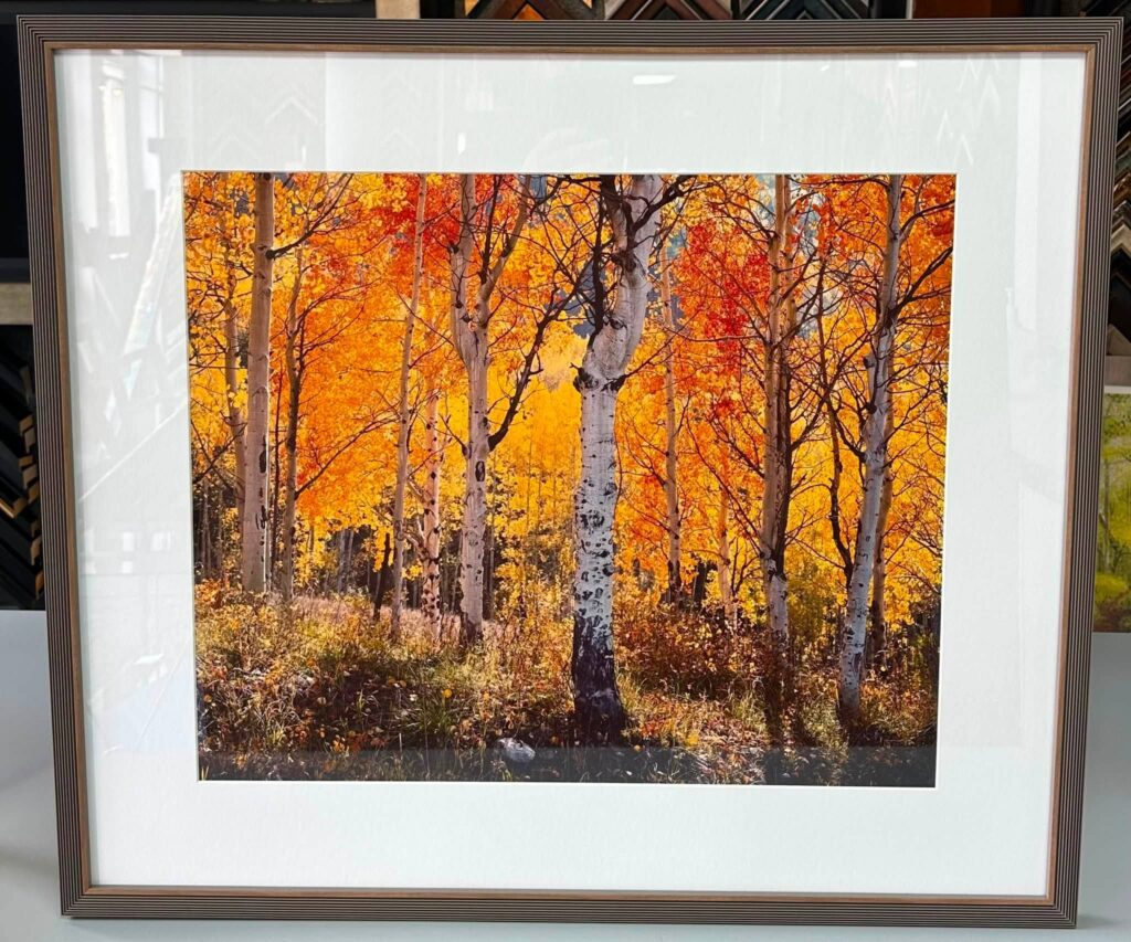 Fine Art & Photography Custom Framing Denver 