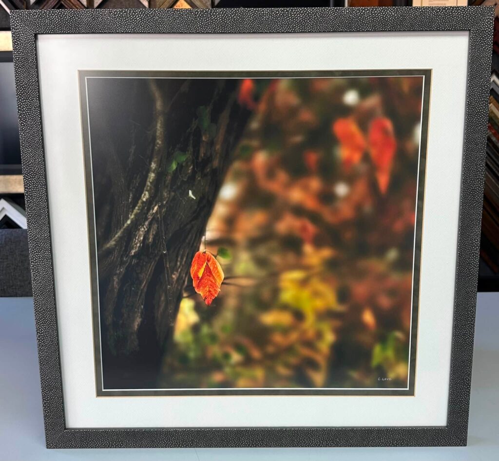 Museum Quality Custom Picture Framing Denver 