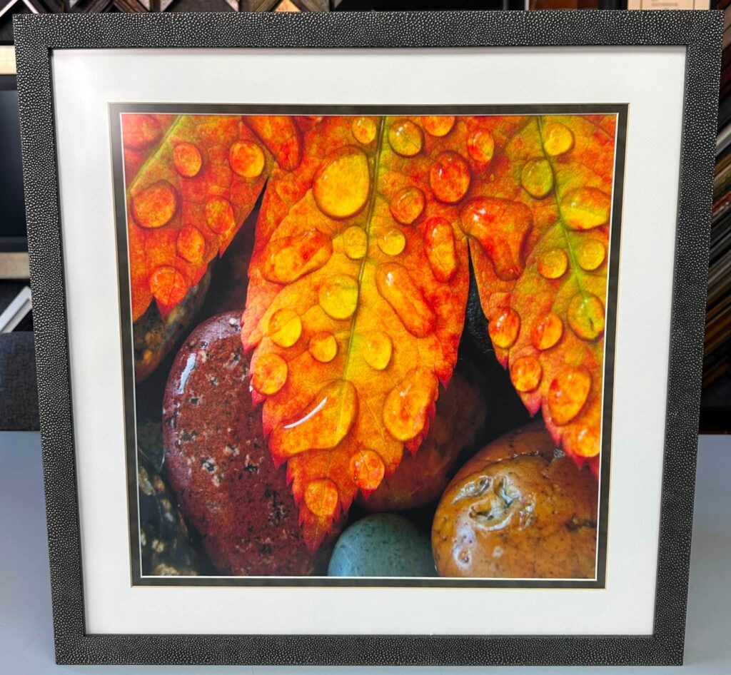 Museum Quality Custom Picture Framing Denver