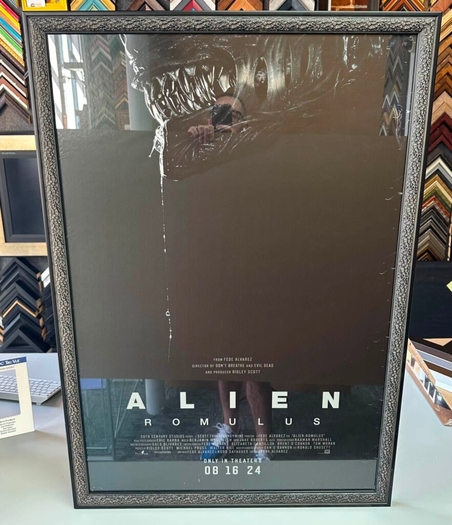 Movie Poster Framing Denver 