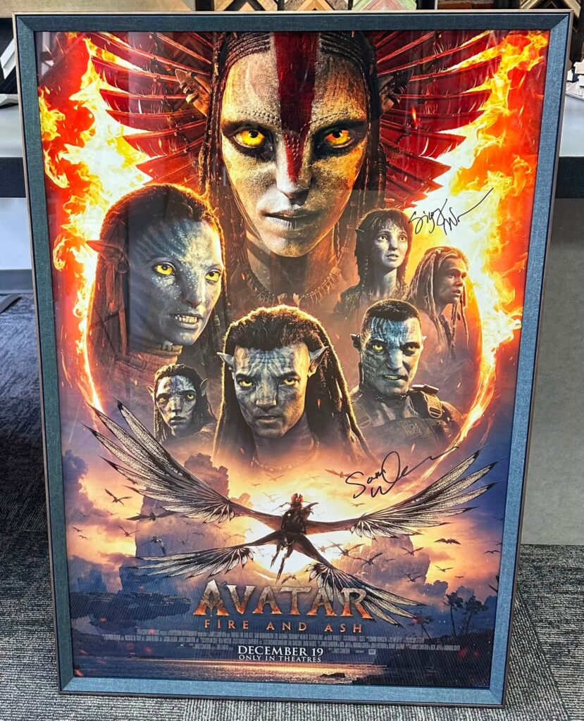 Movie Poster Framing Denver 
