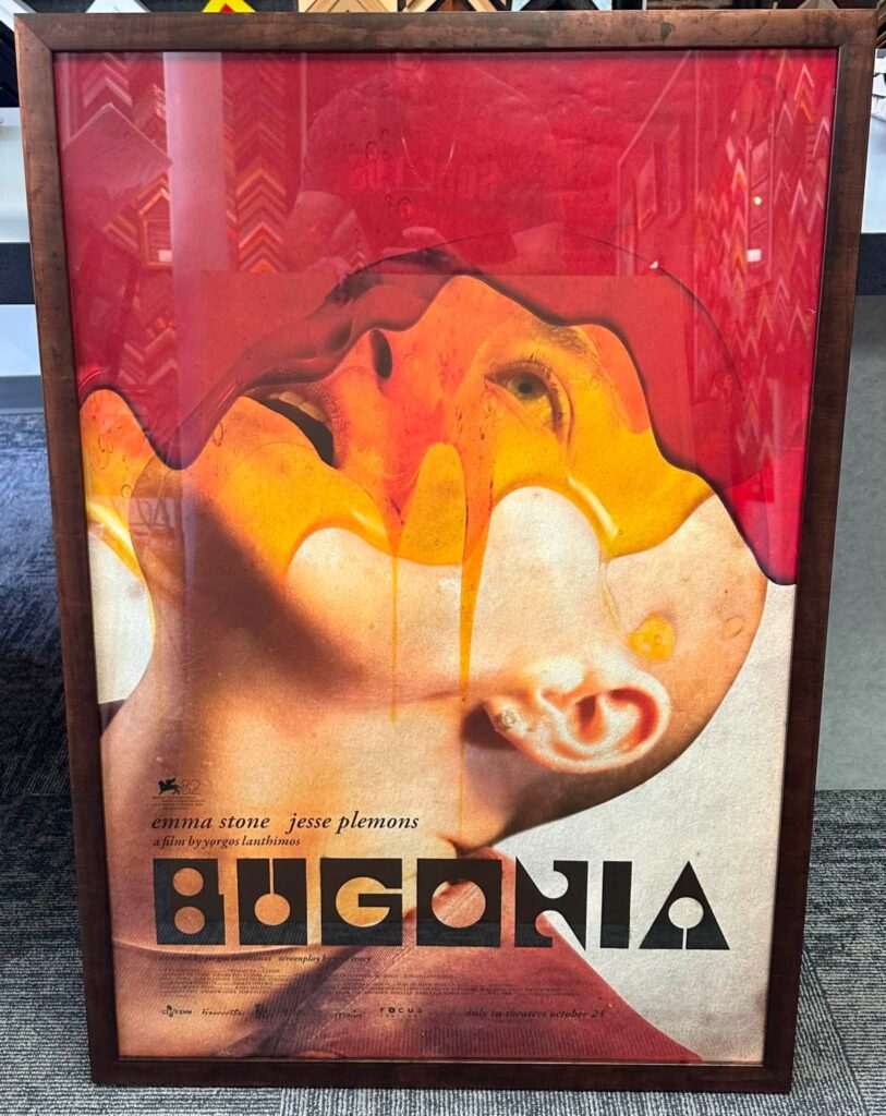 Movie Poster Framing Denver 