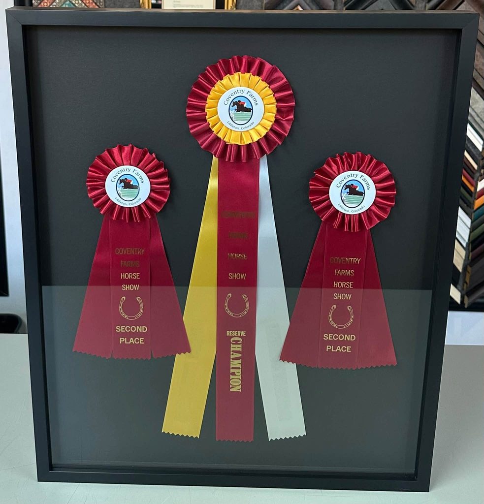 Custom Framed Equestrian Award Ribbons