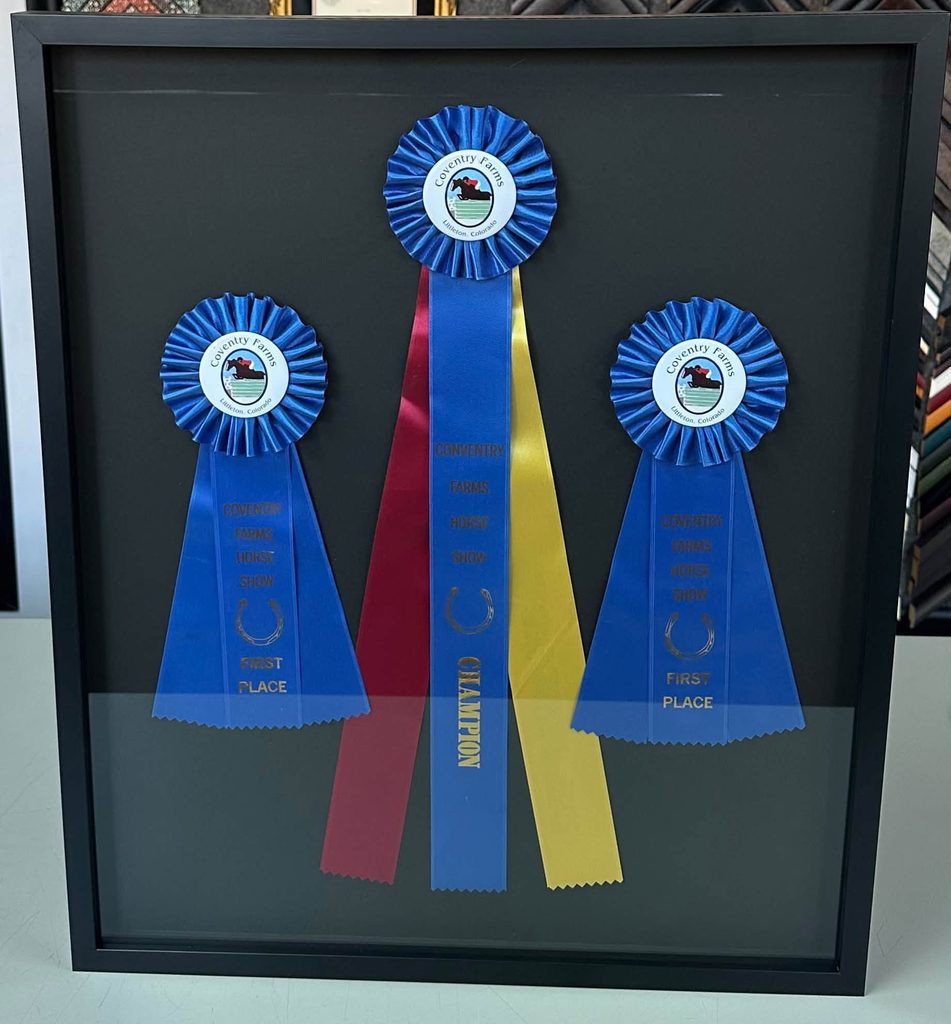Custom Framed Equestrian Award Ribbons